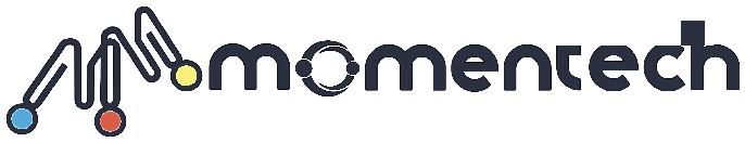 Momentum Grup